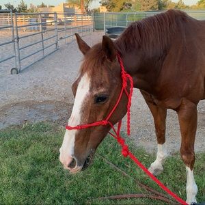 Meet your Posher, Kendall